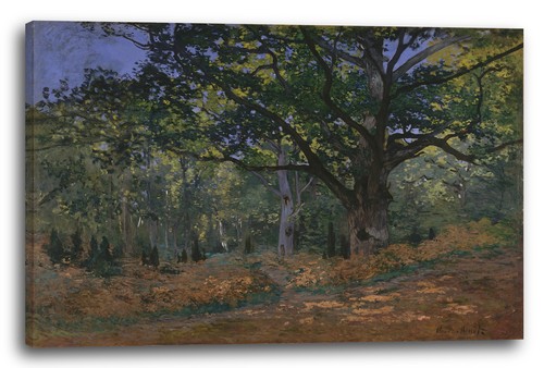 Canvas frames claude monet - claude,