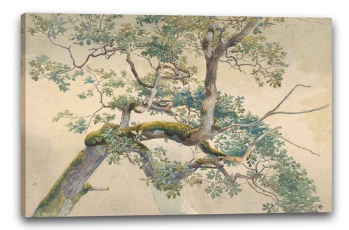 Canvas frames charles reginald - canvas/frames,
