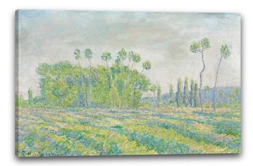Canvas frames blanche - canvas/frames,