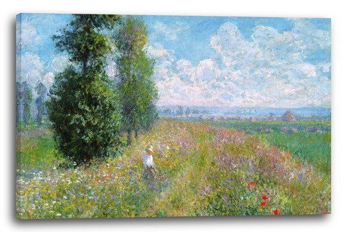Canvas frames claude monet - canvas/frames,