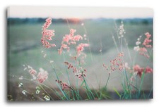 Canvas/Frames Flowers pictures