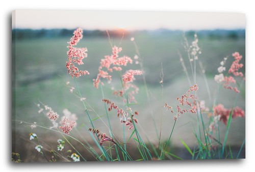 Canvas frames flowers pictures - flowers,