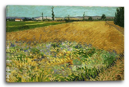 Canvas frames vincent - vincent, van