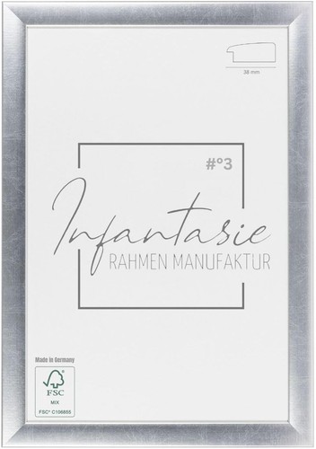 Picture frame silver - frame,